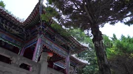 Int'l students experience Chinese culture in China's Kongtong Mountain