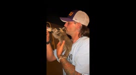 Bottle Time for Baby Raccoon