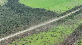 Ukrainian border guards destroy Russian forest hideout near Bakhmut