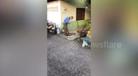 Brave pensioner catches huge cobra barehanded in his yard