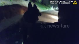 Beloved K9 Shot And Killed During Armed Standoff With A Suspect In San Diego, CA, USA