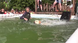 Funny dog-splash in the pool at PetShop Days festival in St Petersburg, Russia