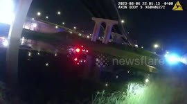 Police officers save driver trapped in sinking vehicle in Florida