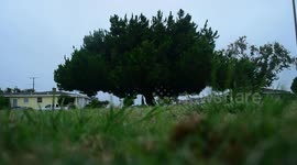 California Been So Cloudy Lately, cloudy day in Los Angeles