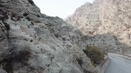 Aerial photography of small deer in the Helan Mountains of Yinchuan City, Ningxia Hui Autonomous Region.