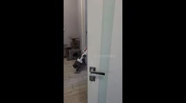 Vacuum delight: Luke Skywalker's purrfect massage session in Moscow!