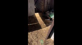 Desolation chronicles: abandoned houses of Bakhmut - echoes of conflict