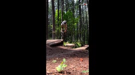 Trail dog loves to chase the owner on his bike rides *Incredible Video*