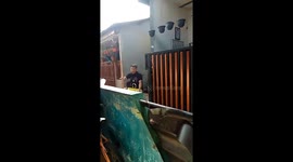 Escaped Eid al-Adha cow causes chaos: hilarious chase ensues in Tangerang residential area