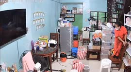 Cleaners freak out when rat emerges from behind fridge