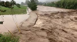 Japan: Rivers Swell As Typhoon Lan Brings Torrential Rain 4
