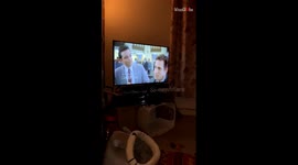 Cute kitten falls off the TV stand attempting to get close *Hilarious Cat Fail*