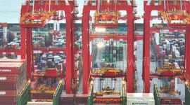 2023 H1 Shanghai Port Container Throughput Growth In China