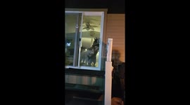 Huskies Want to Join the Party