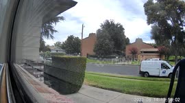 USPS package delivery in Contra Costa, CA hidden in the bushes not enough to stop package thieves and porch pirates who stalk the delivery trucks and swipe the mail in just moments