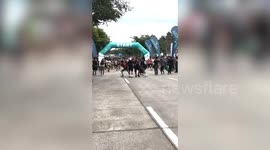 Sporty pet dogs compete in 1km mini-marathon race in the Philippines