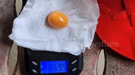 Lucky Thai woman finds rare egg-shaped Melo pearl worth $11k while cooking dinner
