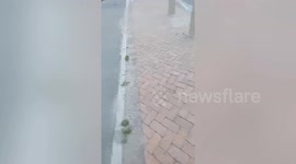 Bus attacked during taxi strike carnage in Cape Town, South Africa