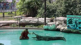 Crazy crocodile show in Thailand, this performer puts his hand and arm fully inside the wide open mouth of a ferocious looking beast.