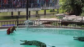 Crazy crocodile show in Thailand,A man who slips and falls may scare the crocodile and bite him.