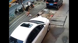 Anger online as unleashed golden retriever attacks smaller dog