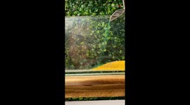 BREATHTAKING reimagination of iconic 'Kintai Bridge' artwork in sand form