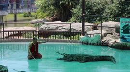 Crazy crocodile show in Thailand The man put his head into the crocodile's mouth.