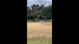 Woman's day goes from bad to WORSE after horse riding adventure takes a neigh-sty turn