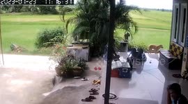 Father's plastic chair suddenly snaps while he is resting on front porch