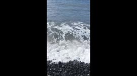 Praia Formosa, Funchal