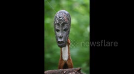 Hungry Squirrel Wears the Mask