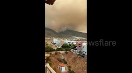 Spain: Forest Fire Erupts In Tenerife, Canary Islands 8