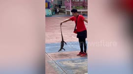 Wild monitor lizard sparks chaos chasing children through school corridor