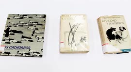 Peru declares works of Nobel laureate as National Cultural Heritage