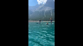 Dog Takes on Stand Up Paddleboarding