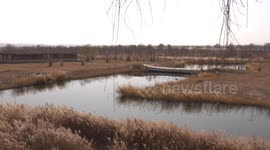Fixed filming around Huangsha Wetland Park in Yinchuan City, Ningxia Hui Autonomous Region.