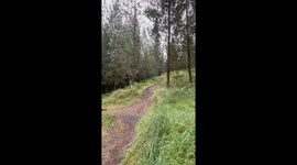 Biker finds himself hugging side bushes after losing sight of the track *Hilarious Fail*