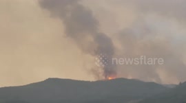 Spain: Tenerife Wildfire Burns Out Of Control 3
