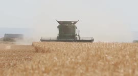 Droughts threaten cereal production in Spain: expert