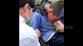 Doctors use nail clipper to free boy's tongue from pet tortoise's bite in China