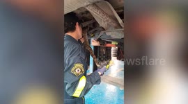 Huge python caught underneath car that was taken for repairs