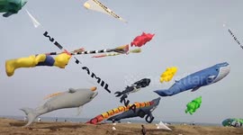Spectacular Tamil Nadu International Kite Festival paints sky with colourful creations