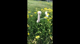 Everyone Likes to Stop and Smell the Flowers