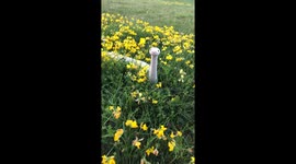 A Friend in the Flowers