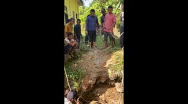 Pulling A Buffalo Out Of A Well