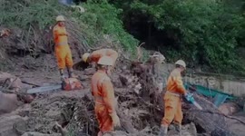 Death toll in India's rain-hit Himachal Pradesh rises to 71