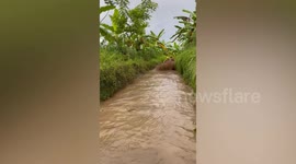 Woman crashes into mud wall in amusing ATV quad bike fail