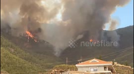 Devastating wildfire engulfs Tenerife: largest and most complex blaze in four decades