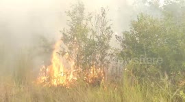 Forest Fires in South Kalimantan Cause Haze, Deteriorating Air Quality