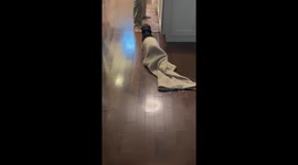 Wagging Blanket Worm